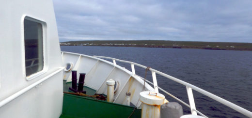 Dalvik - Grimsey Island ferry